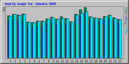 Hourly usage for January 2026